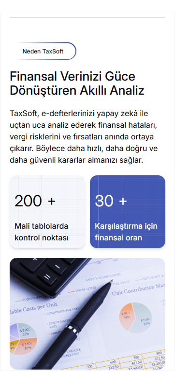 TaxSoft E-defter