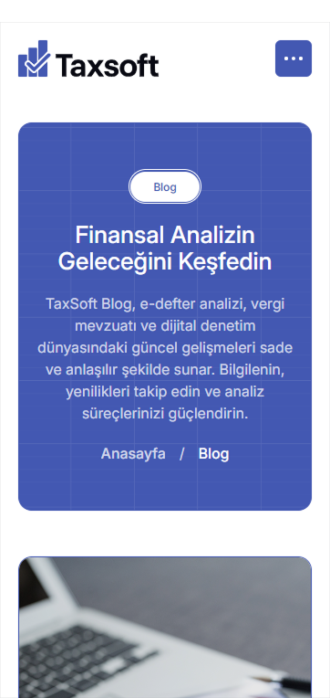 TaxSoft E-defter