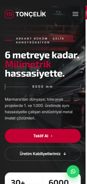 Ton Çelik